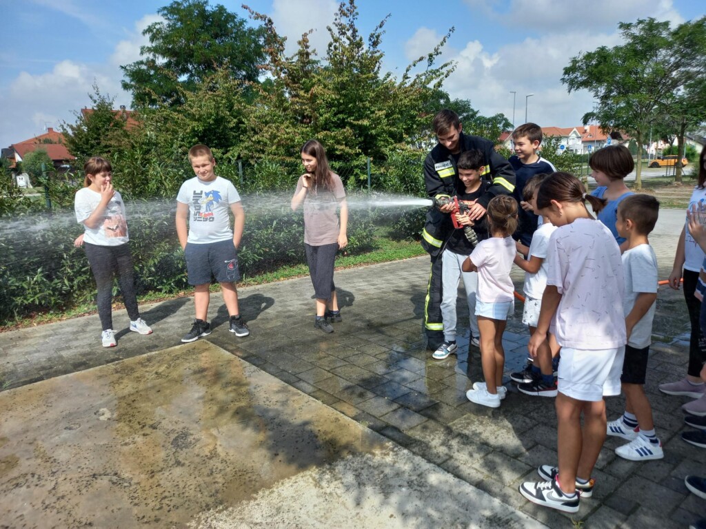 dvd jagnjedovec - bazeni cerine (12)