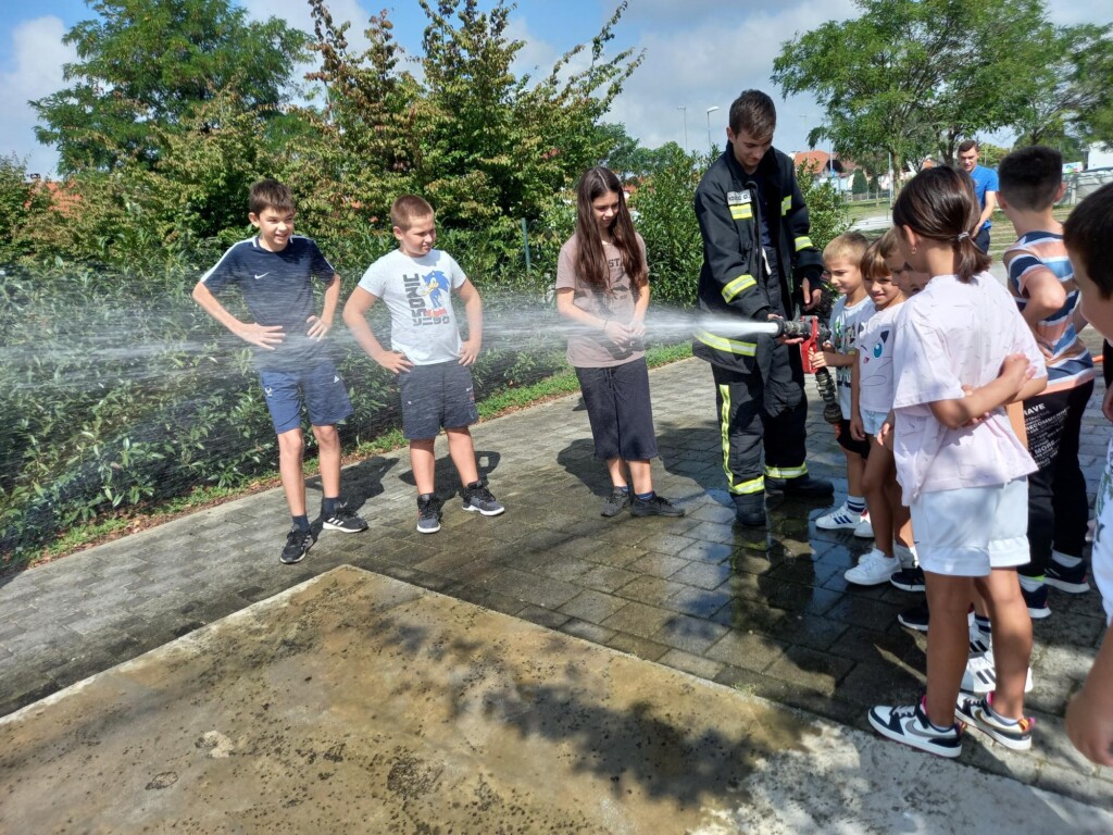 dvd jagnjedovec - bazeni cerine (14)