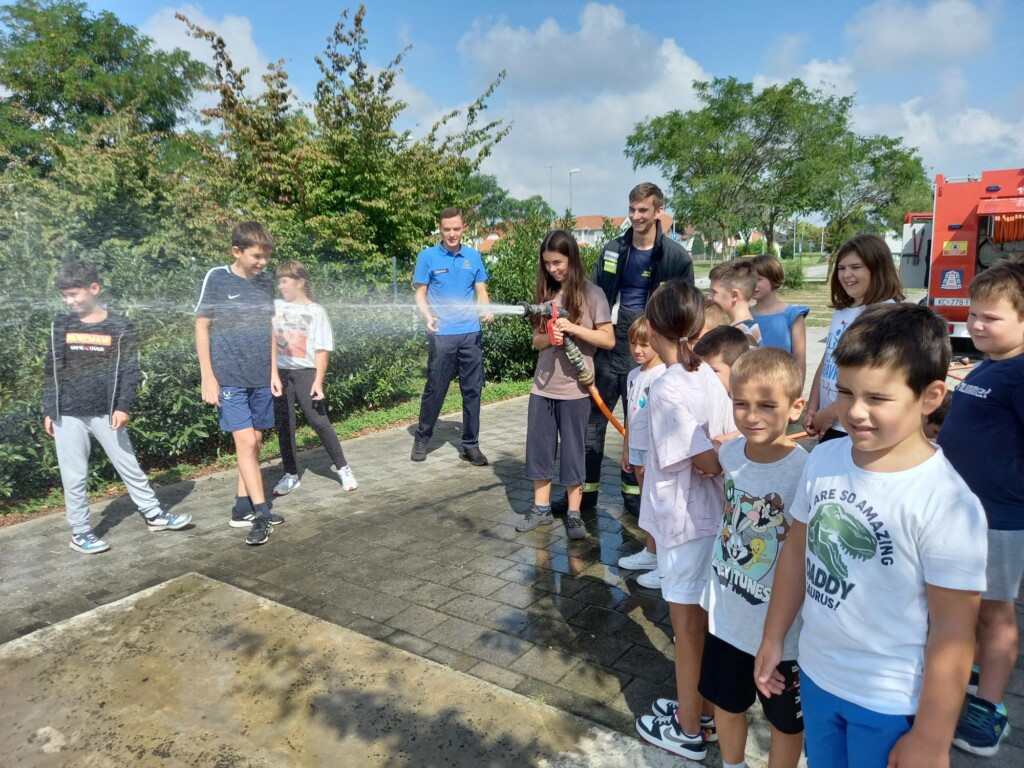 dvd jagnjedovec - bazeni cerine (15)