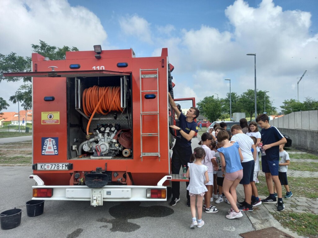 dvd jagnjedovec - bazeni cerine (20)