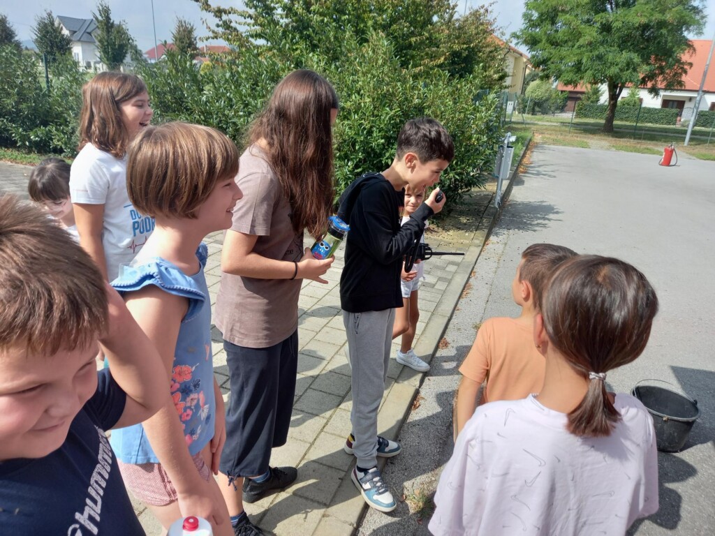 dvd jagnjedovec - bazeni cerine (23)