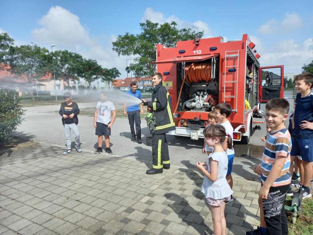 dvd jagnjedovec - bazeni cerine (9)