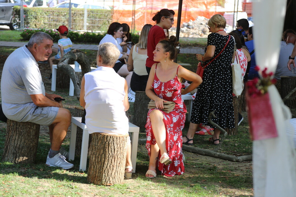 kajsujeli-nedjelja-14