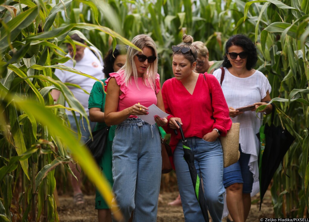 [VIDEO] Otvoren kukuruzni labirint “Hrvatica”