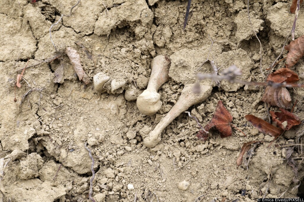 Uz cestu pronađene ljudske kosti