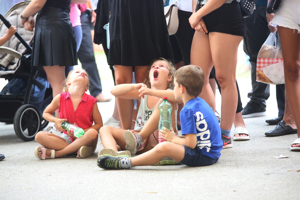 mazoretke-kajsujeli-16