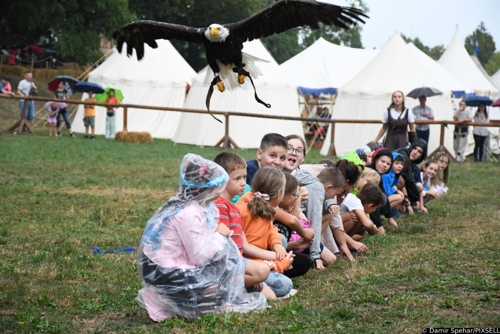 Sokolari Sv. Bavona iz Slovačke oduševili su posjetitelje na  Renesansnom  festivalu u Koprivnici