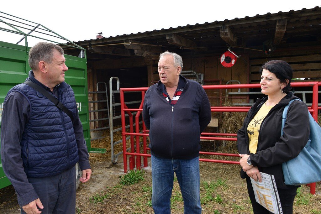 cuklic burek tuckoric