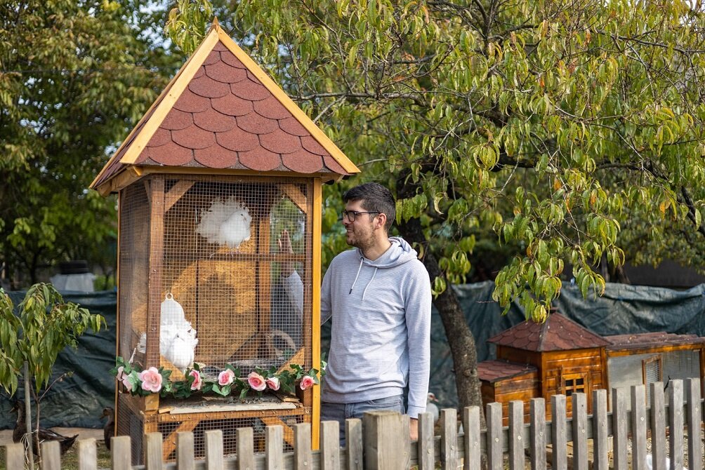 Na imanju ima i golubova