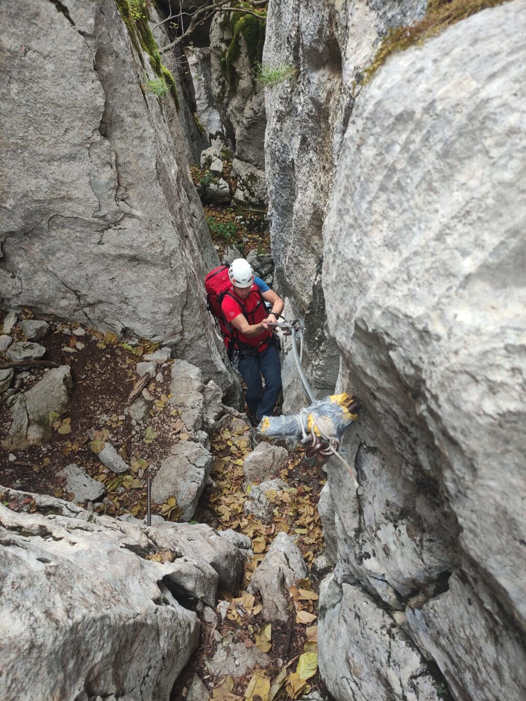 hgss staza malog princa (3)