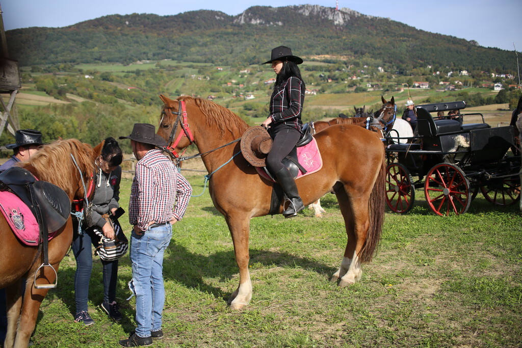 potkalnicki-konjari-36