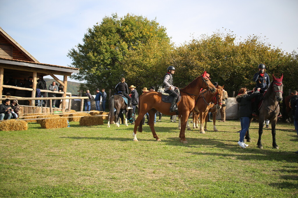 potkalnicki-konjari-43