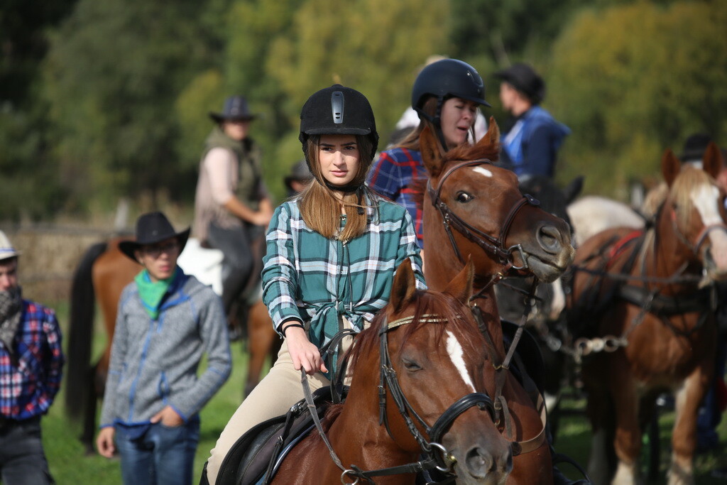 potkalnicki-konjari-66