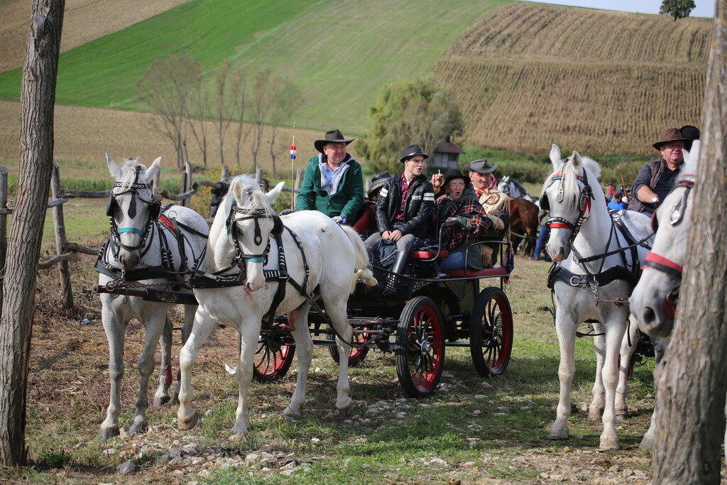 potkalnicki-konjari-67