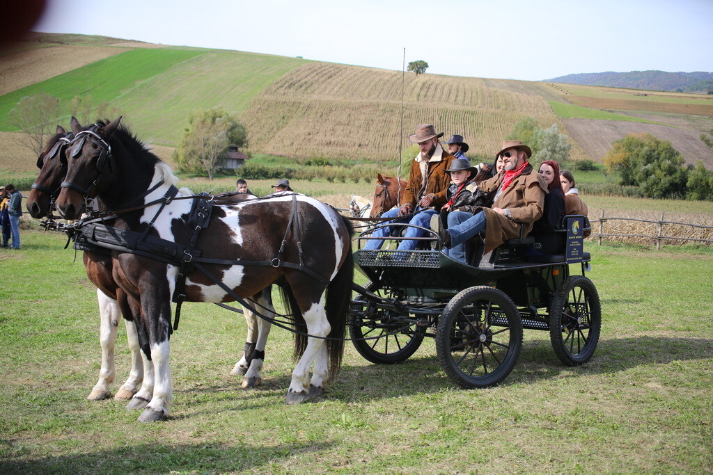 potkalnicki-konjari-70