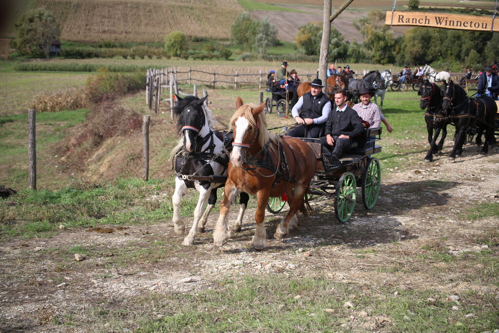 potkalnicki-konjari-71