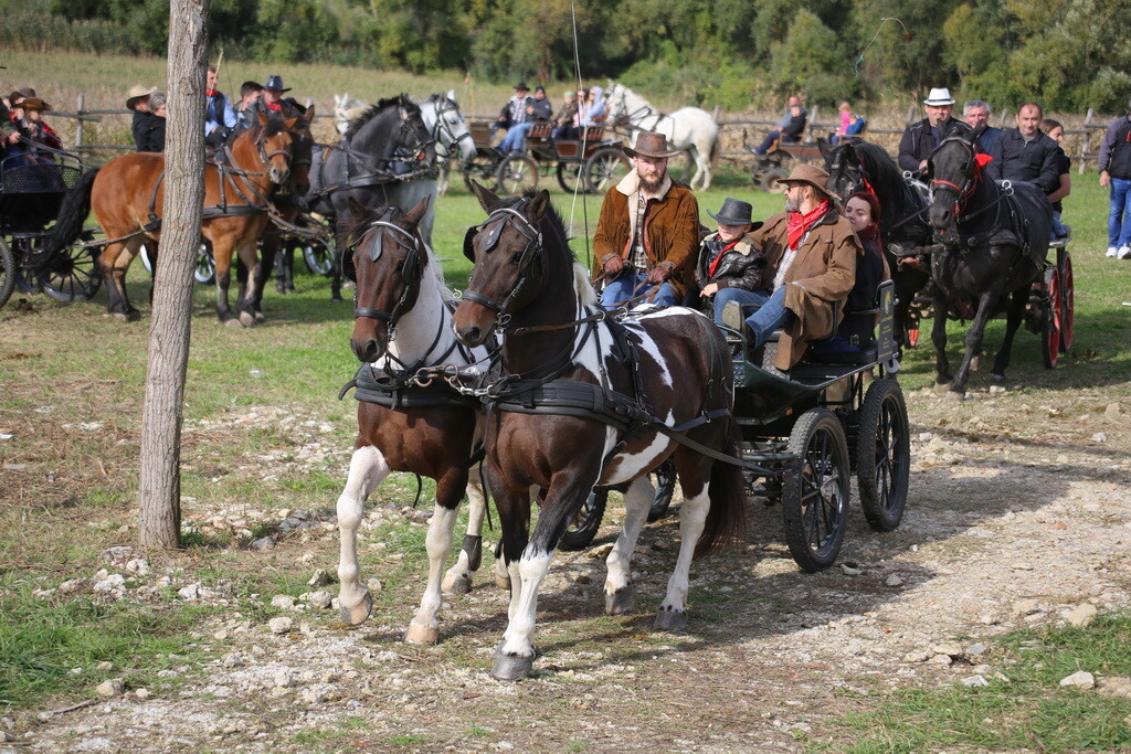 potkalnicki-konjari-73