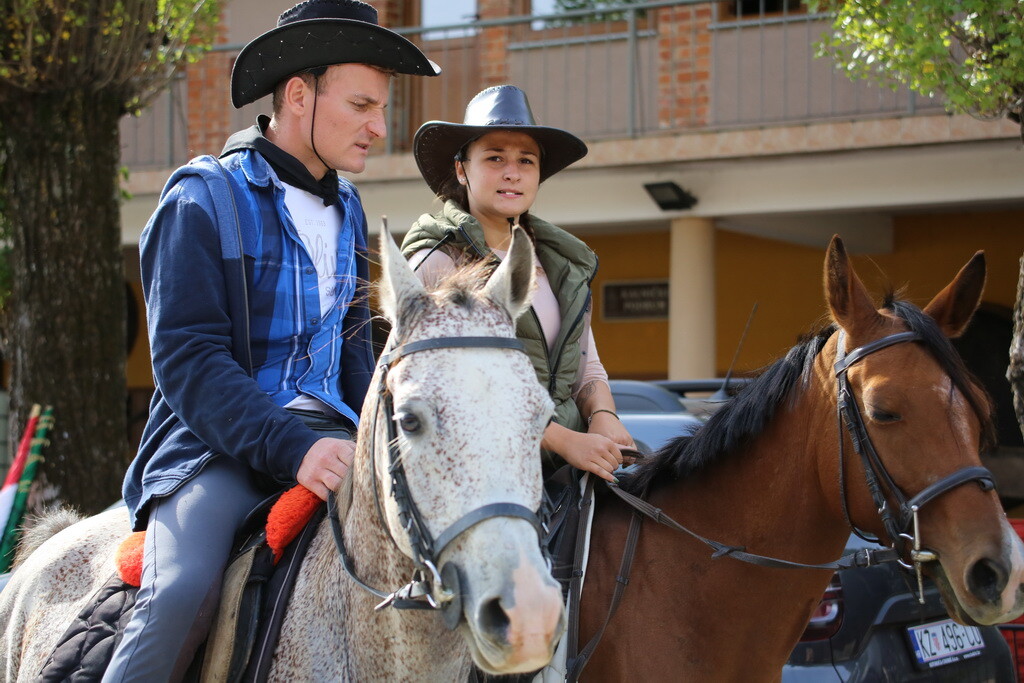 potkalnicki-konjari-75