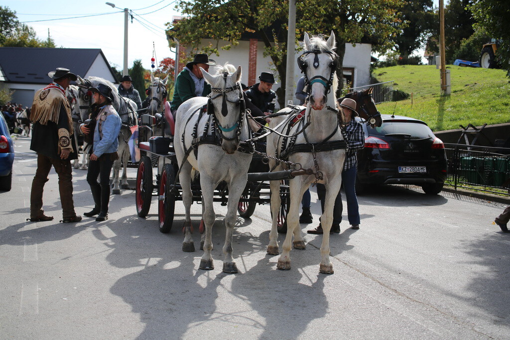 potkalnicki-konjari-77