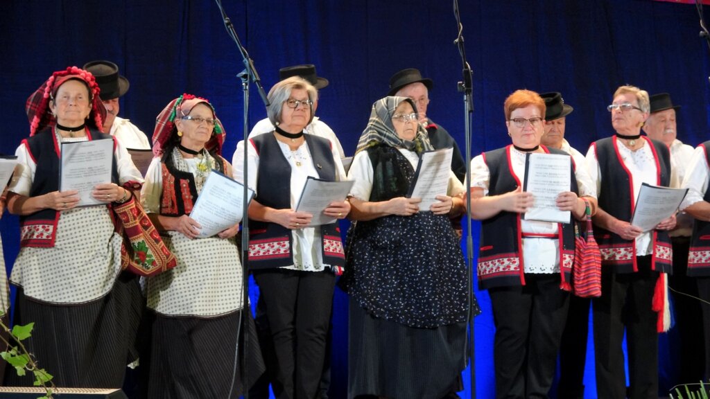 susret_zborovi_umirovljenika_vz_zupanija_2022 (13)