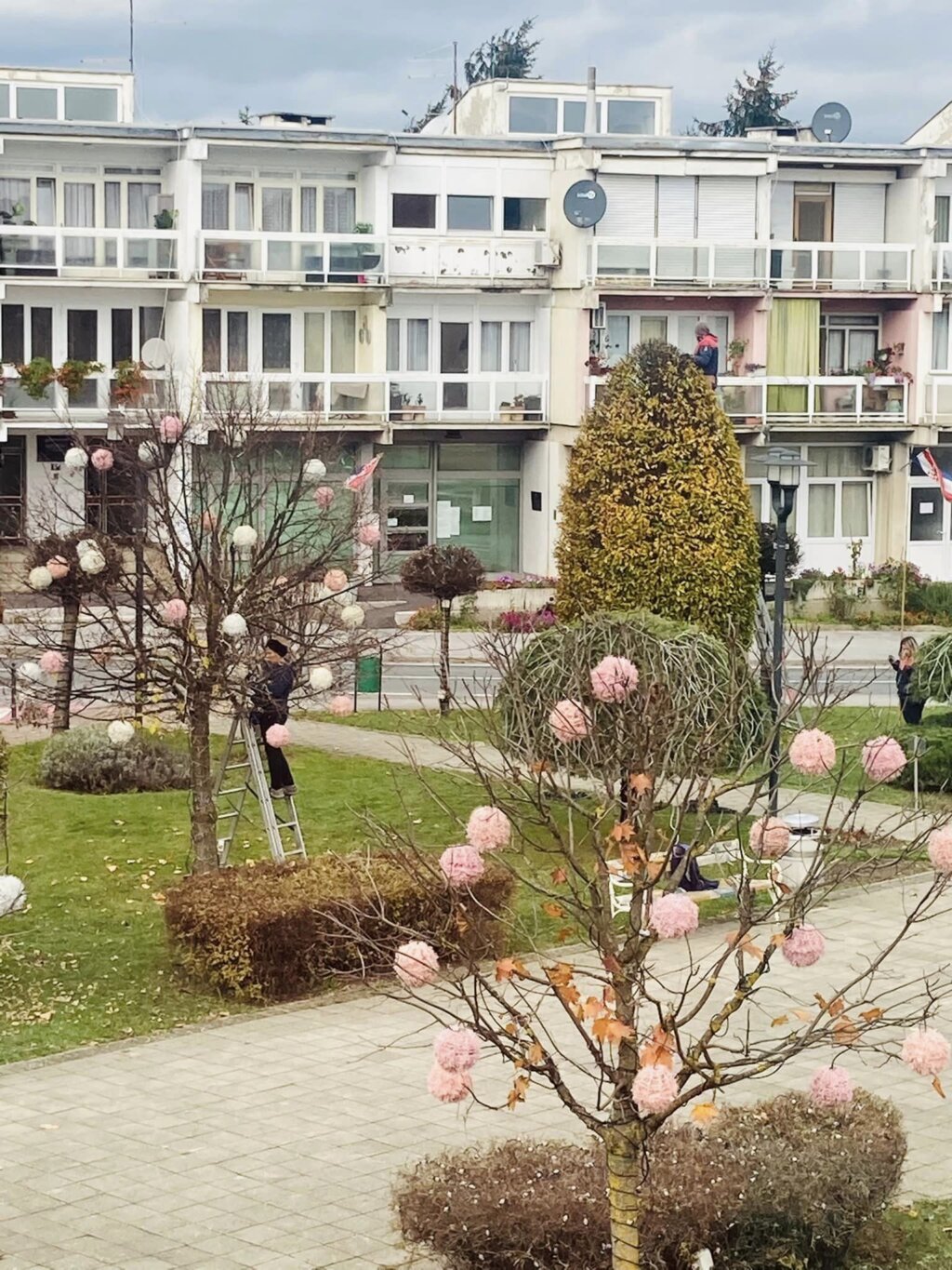 312538749_5470196639696478_84110819440477817_n