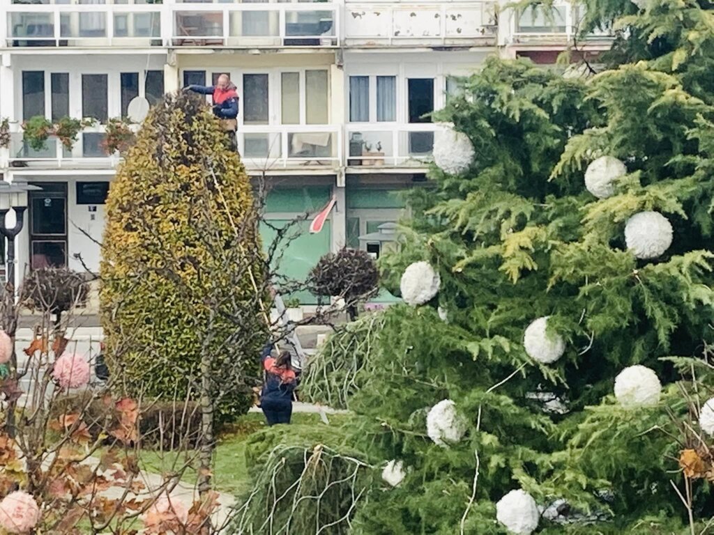 314663017_5470196866363122_724850798708948802_n