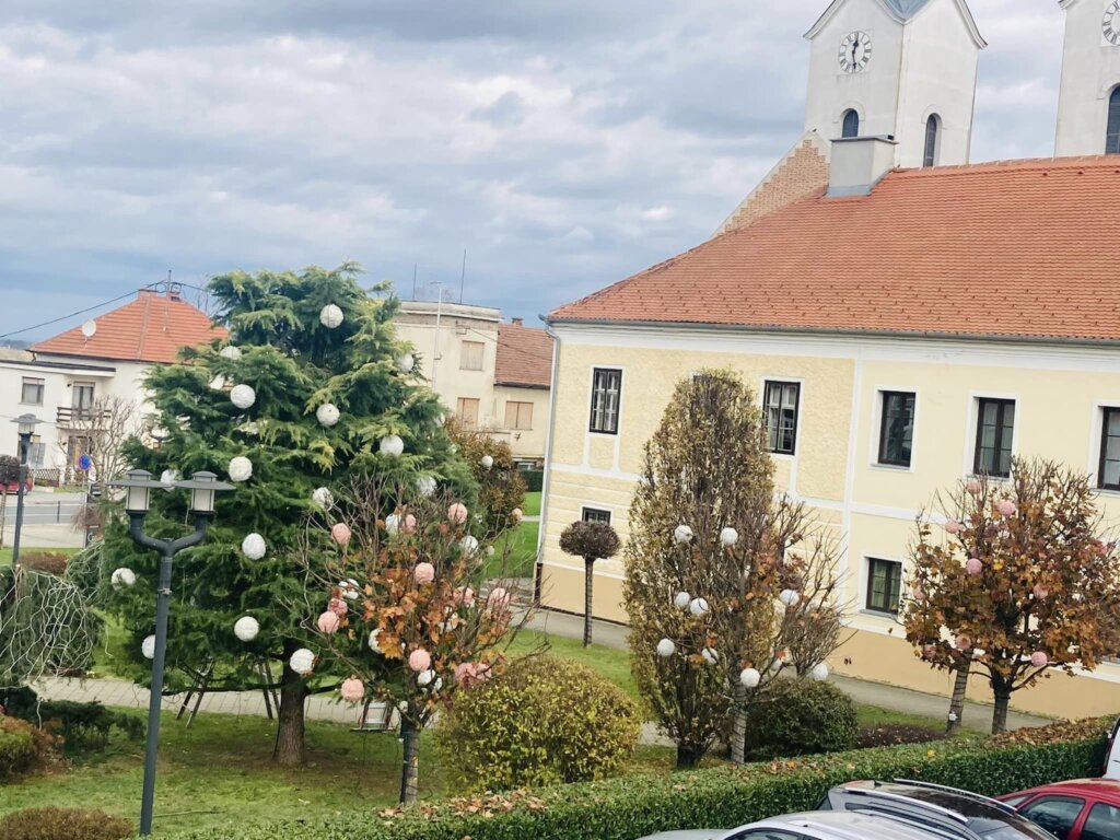 314702410_5470196663029809_8465935271092317604_n