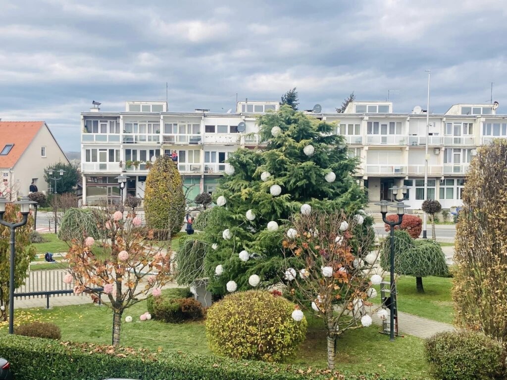 314723579_5470196733029802_6959024832737895526_n