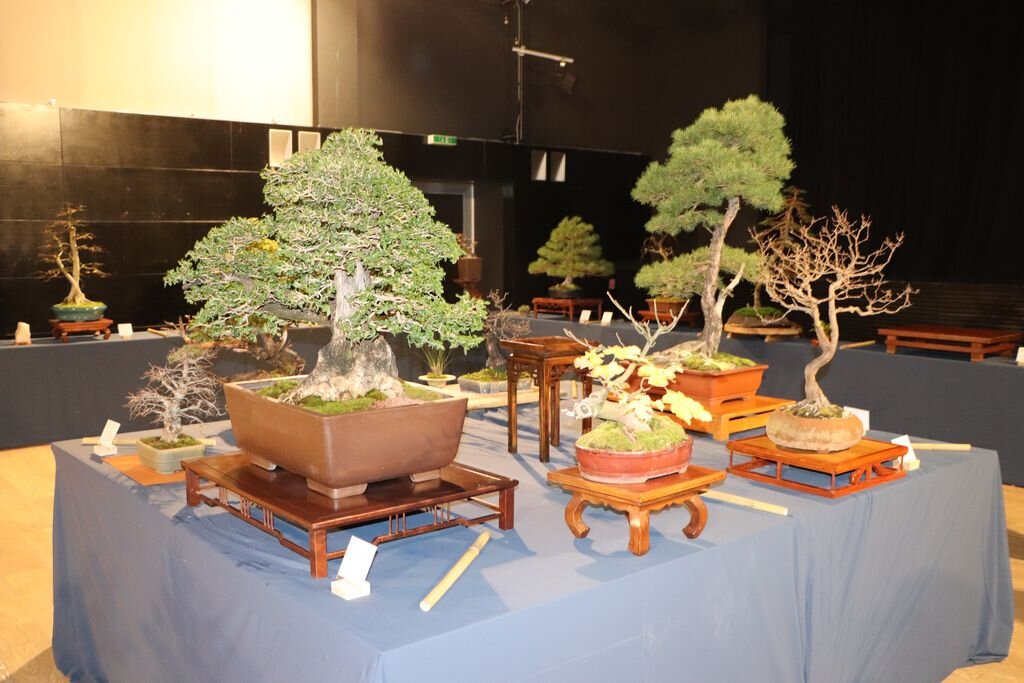 Dan_grada_KC_2022._02