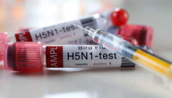Ilustracija, laboratorij za testiranje na H5N1