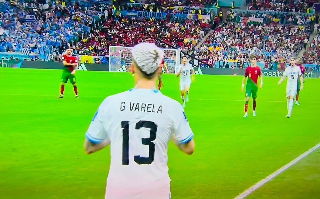 Muškarac sa zastavom duginih boja ušao na travnjak za utakmice Portugal-Urugvaj