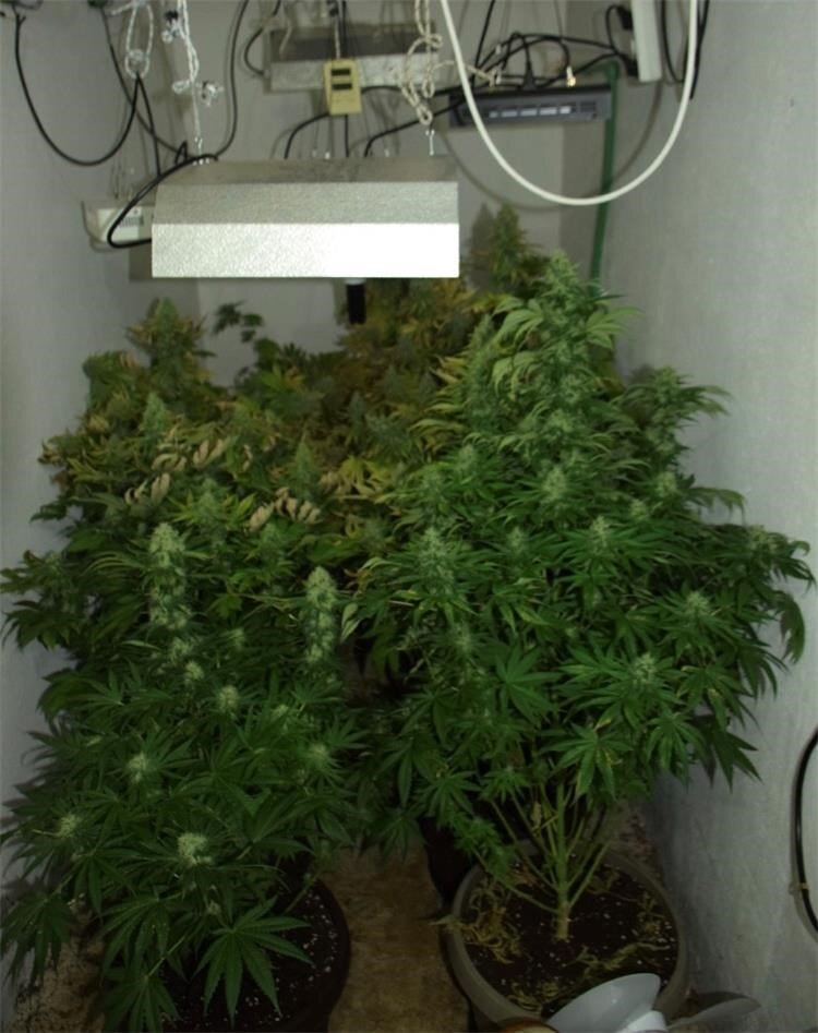 Droga.sluzba.1.12.2 (1)