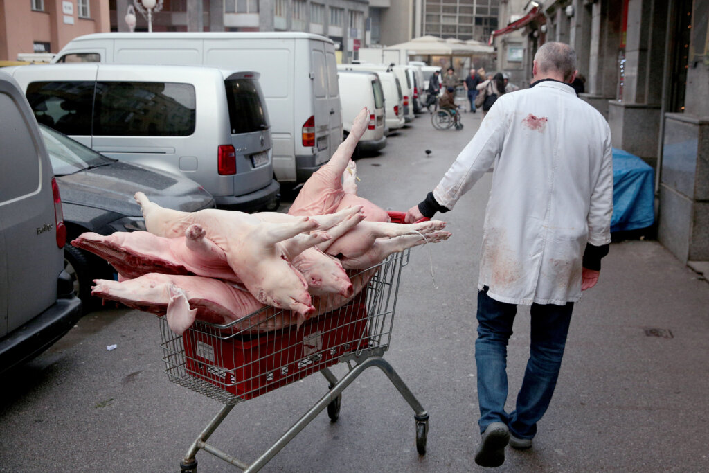 Unatoč poskupljenju velika potražnja za odojcima na tržnici Dolac