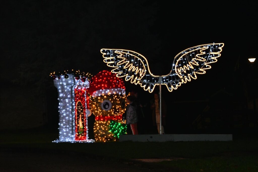 dubrava svijeća (3)