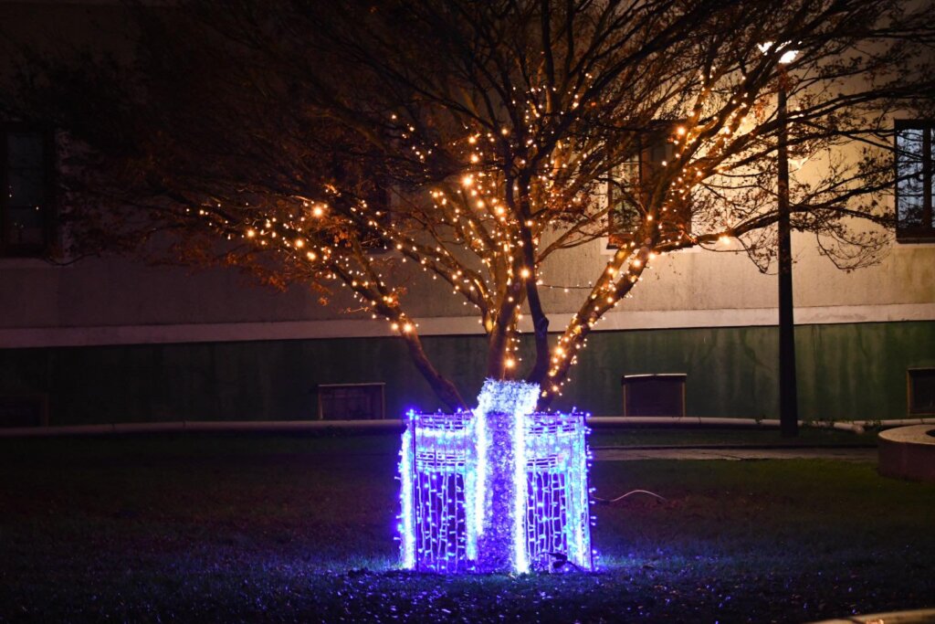 dubrava svijeća (5)