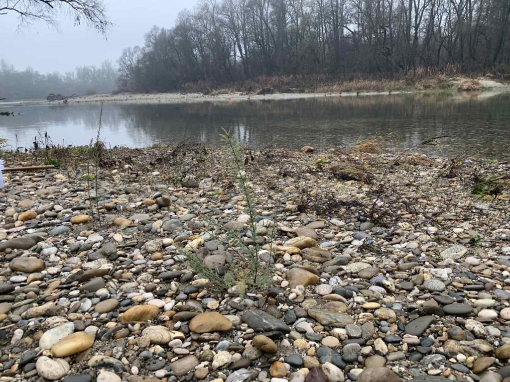 kebrac_akcija_ju_priroda_vz_zupanije_prosinac_2022 (6)