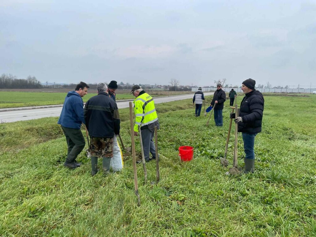 pčelari vrbovec (4)