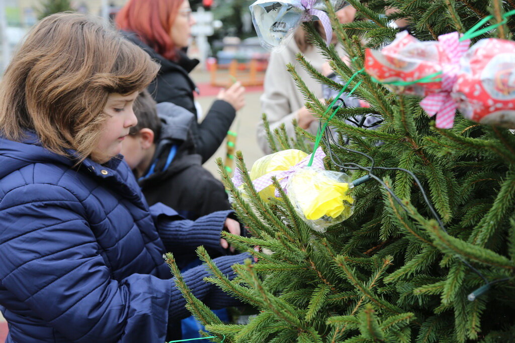 petak-advent-kicenje-borova-09