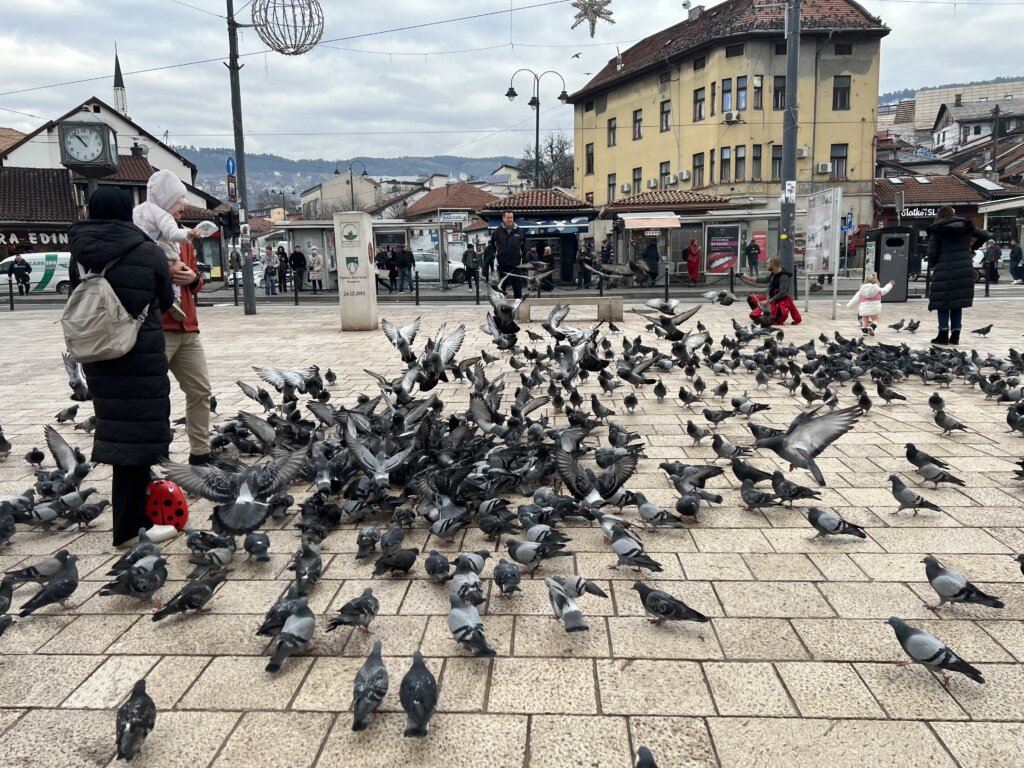 Sarajevo Bih2