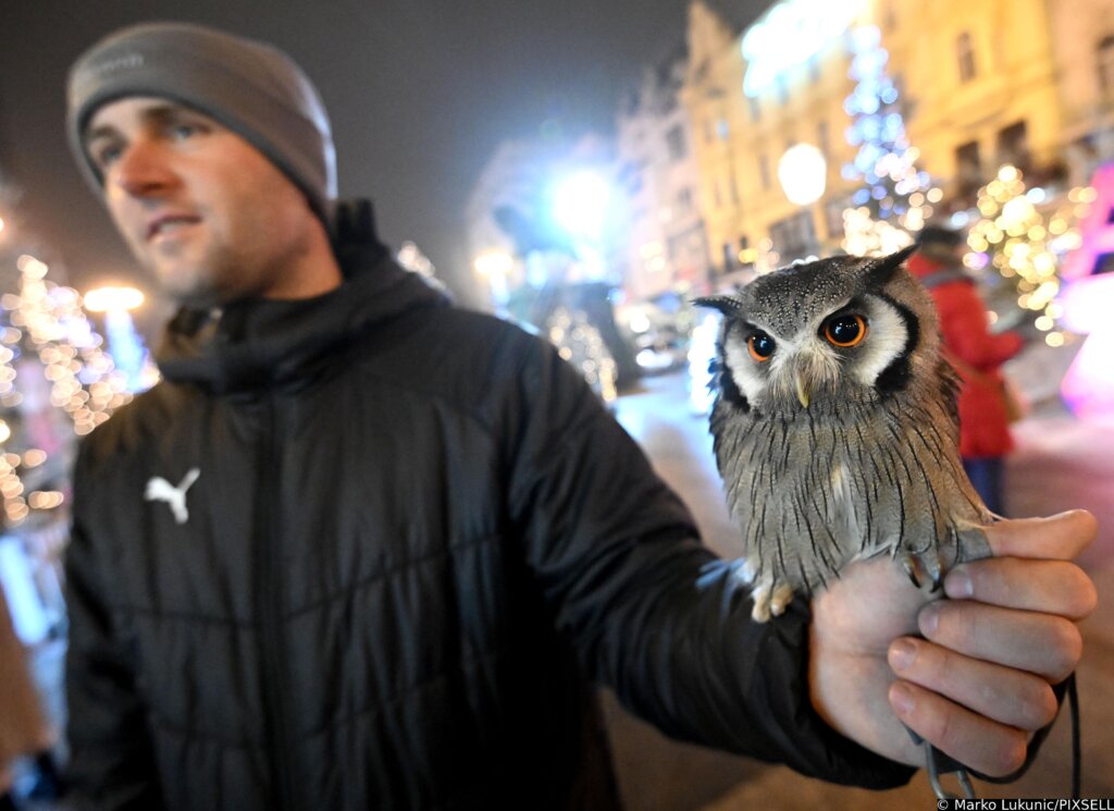 Zagreb: Posjetitelji  Adventa na Trgu fotografirali se sa simpatičnom sovom