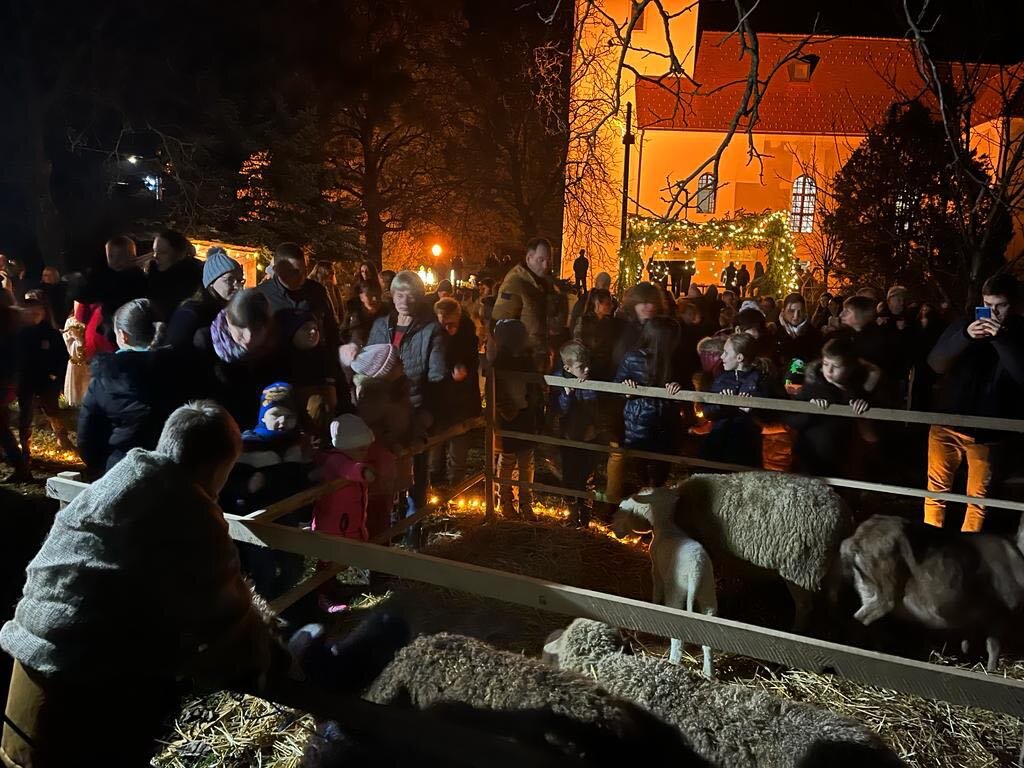 žive jaslice orehovec (12)