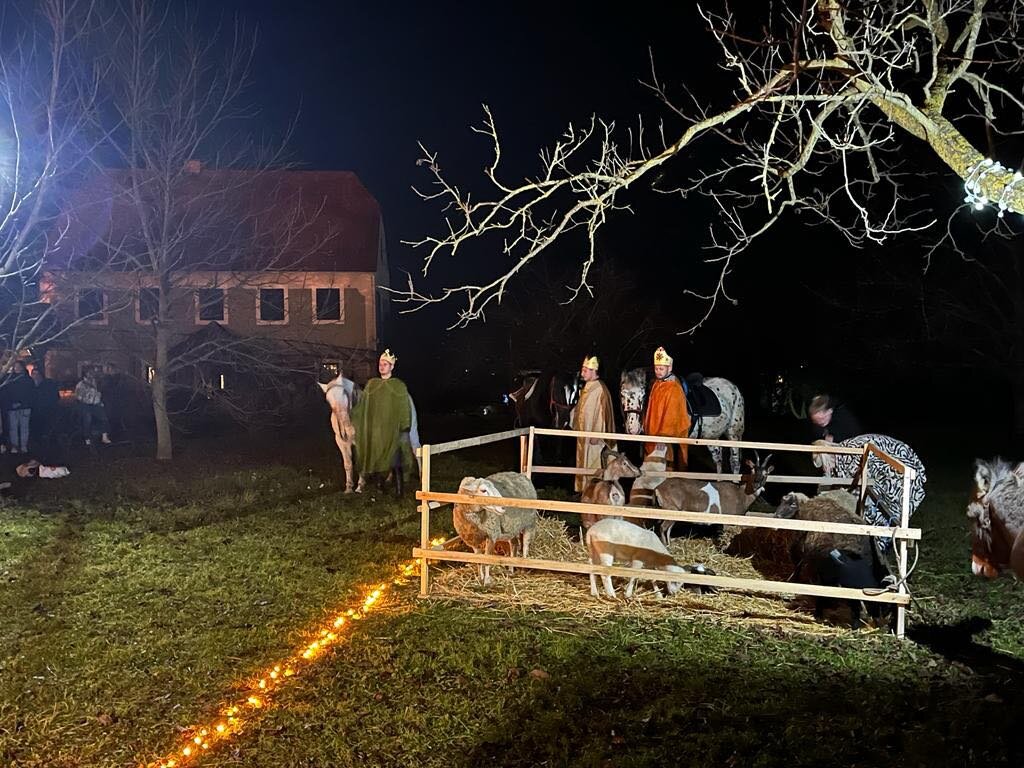 žive jaslice orehovec (9)