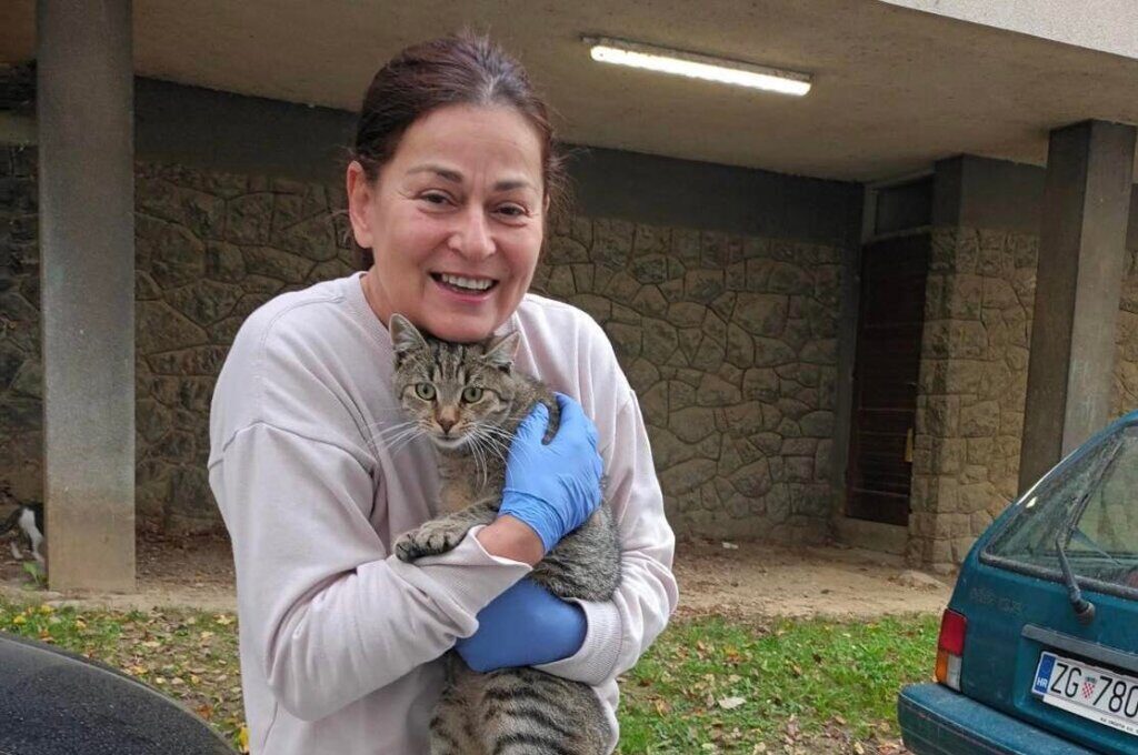 Grad Vrbovec i ove godine sufinancira kastraciju i sterilizaciju mačaka