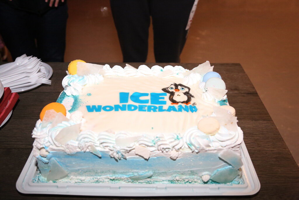 zatvaranje-klizalista-18