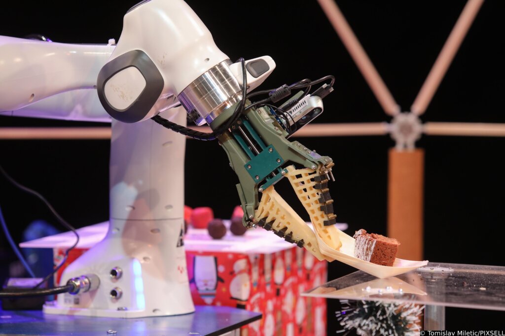 Roboti će do 2033. obavljati veliki dio kućanskih poslova, kažu stručnjaci