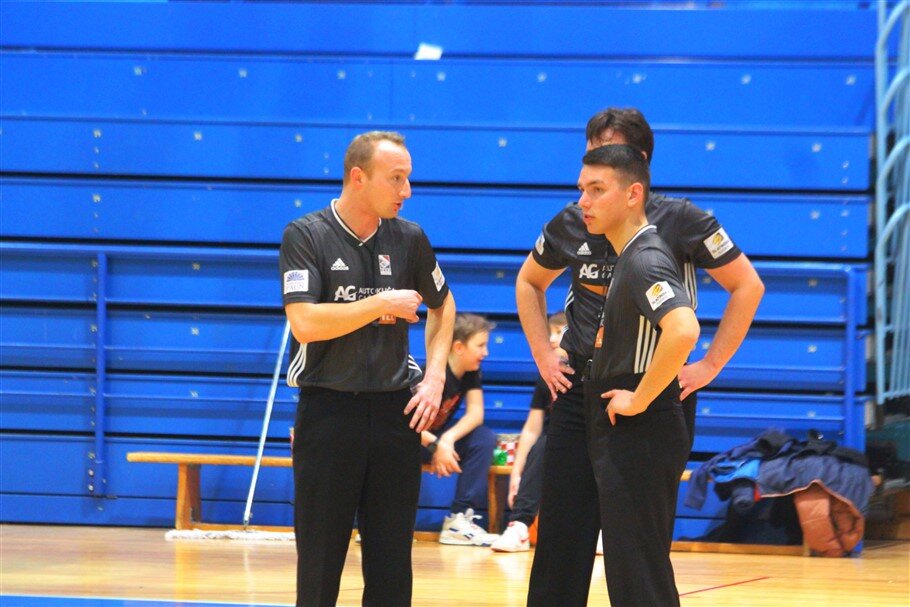 kosarka radnik labrada 12