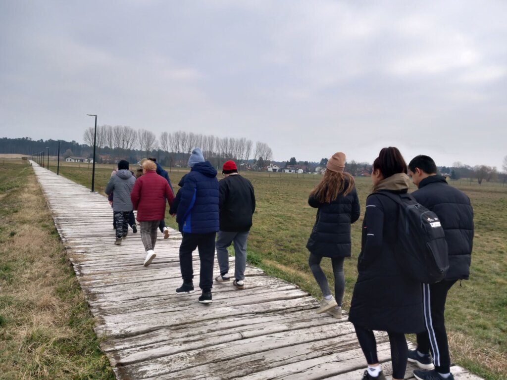 mali princ đurđ (2)