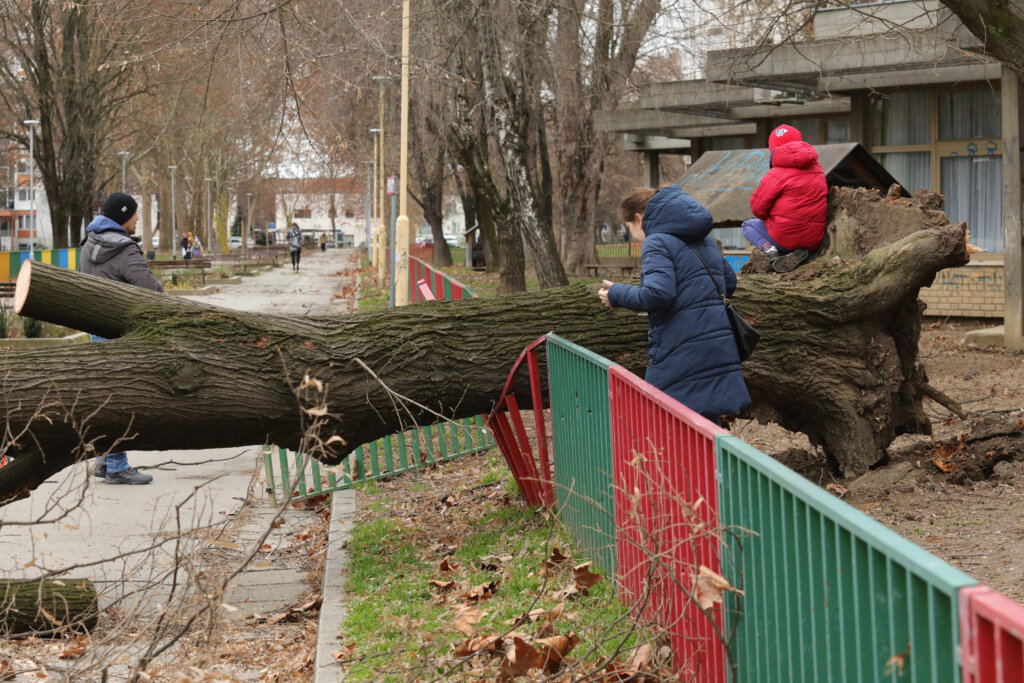 Olujno nevrijeme pogodilo i Osijek, evakuirana gradska tržnica