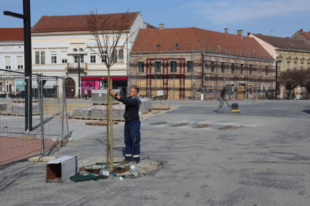 trg koprivnica biljke (1)