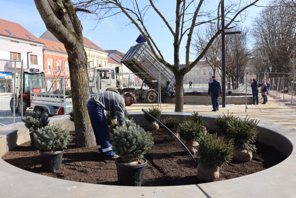 trg koprivnica biljke (3)